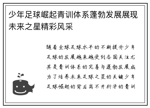 少年足球崛起青训体系蓬勃发展展现未来之星精彩风采