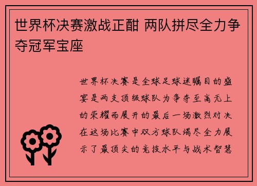 世界杯决赛激战正酣 两队拼尽全力争夺冠军宝座