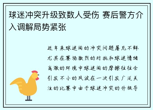 球迷冲突升级致数人受伤 赛后警方介入调解局势紧张