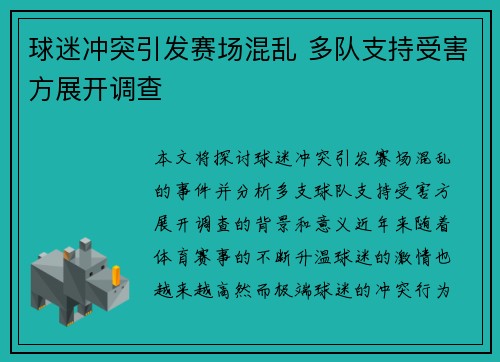 球迷冲突引发赛场混乱 多队支持受害方展开调查