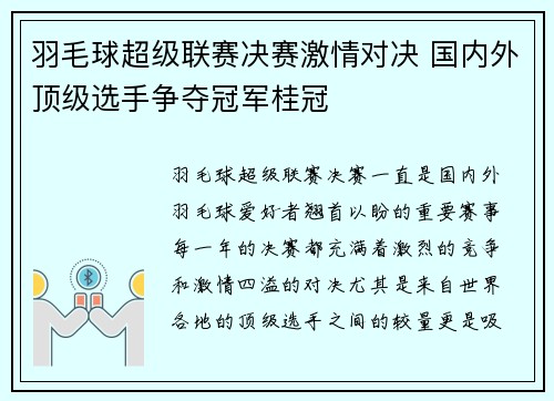 羽毛球超级联赛决赛激情对决 国内外顶级选手争夺冠军桂冠
