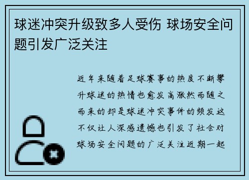 球迷冲突升级致多人受伤 球场安全问题引发广泛关注