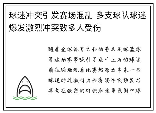 球迷冲突引发赛场混乱 多支球队球迷爆发激烈冲突致多人受伤